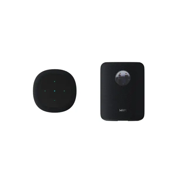 WiiM Sound Smart Speaker schwarz – Bild 4