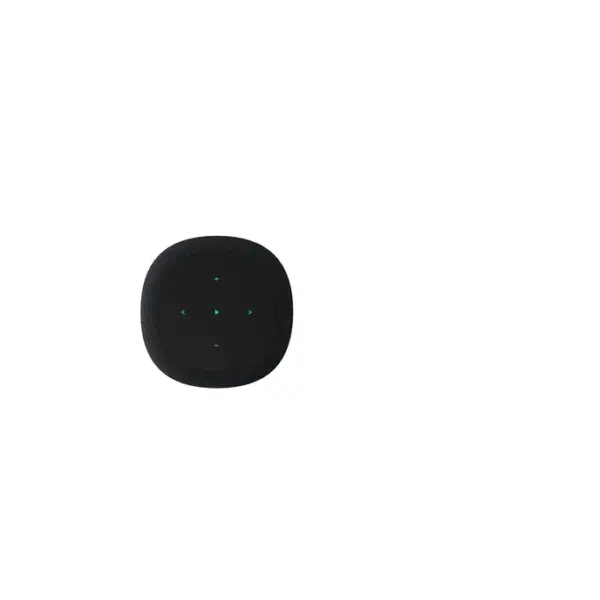 WiiM Sound Smart Speaker schwarz – Bild 5